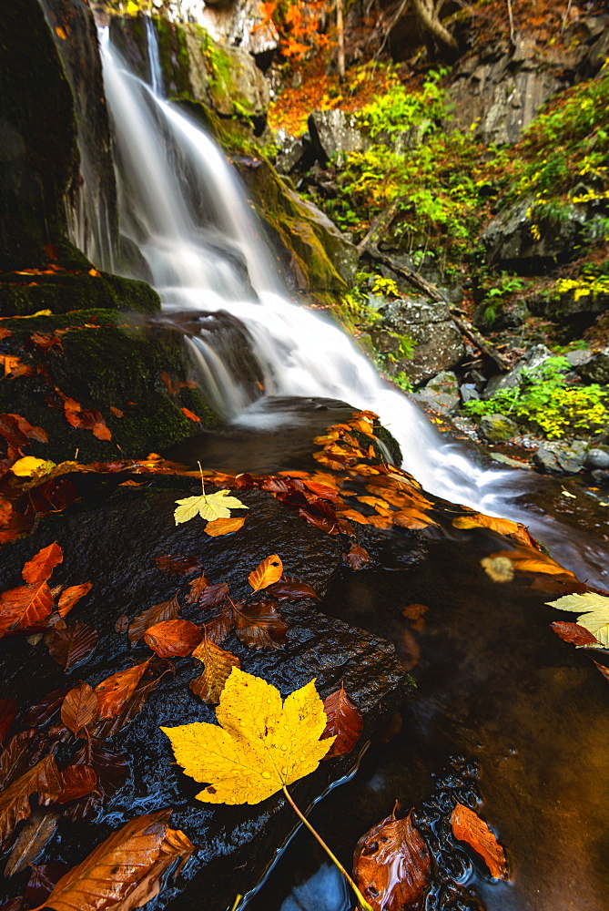 Autumn at the Dardagna waterfalls, Tosco Emiliano Apennines, Apuan Alps, Lizzano in Belvedere, Emilia Romagna, Italy, Europe