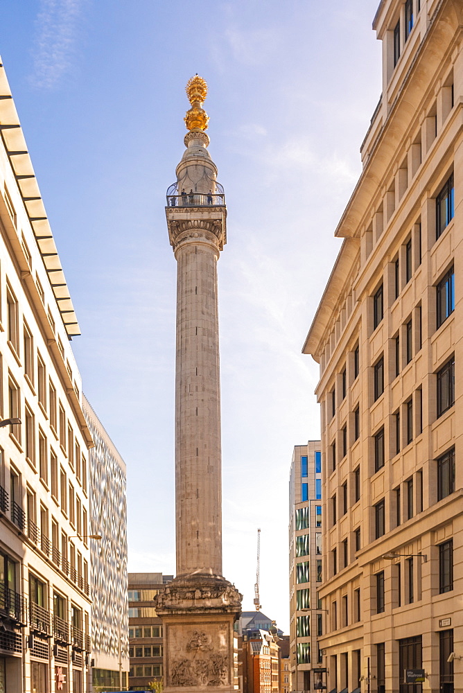 Monument to the Great Fire of London, City of London, London, England, United Kingdom, Europe