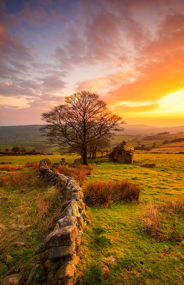 Derelict barn at Roach End, The Roaches, Peak District, Staffordshire, England, United Kingdom, Europe