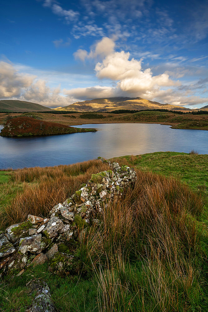 View across the lake to Mount Snowdon at Llyn Y Dywarchen in the Snowdonia National Park, Wales.