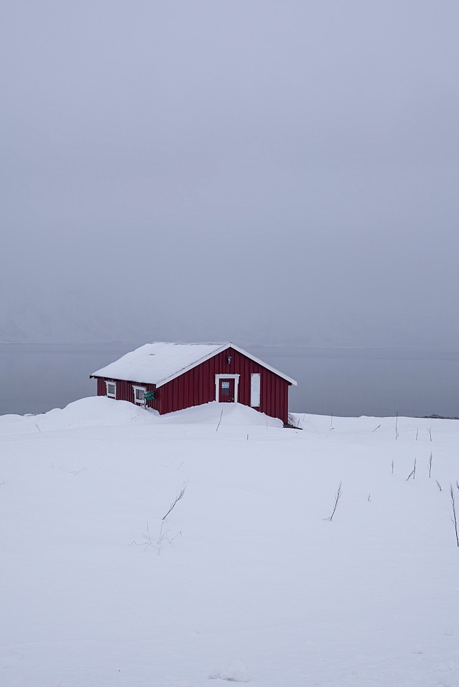 A red house partly buried in snow in winter scene on Lofoten Islands, Arctic, Norway, Europe