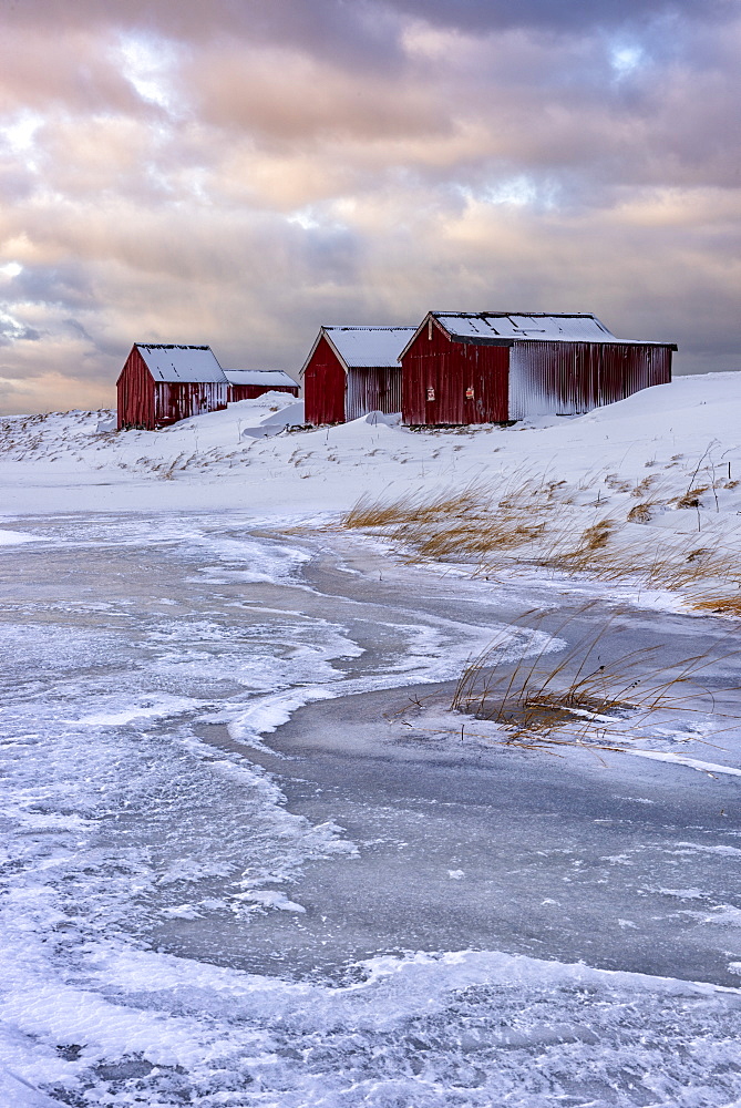 Fresh snow surrounds typical fishermen houses called Rorbu in winter, Eggum, Lofoten Islands, Arctic, Norway, Europe