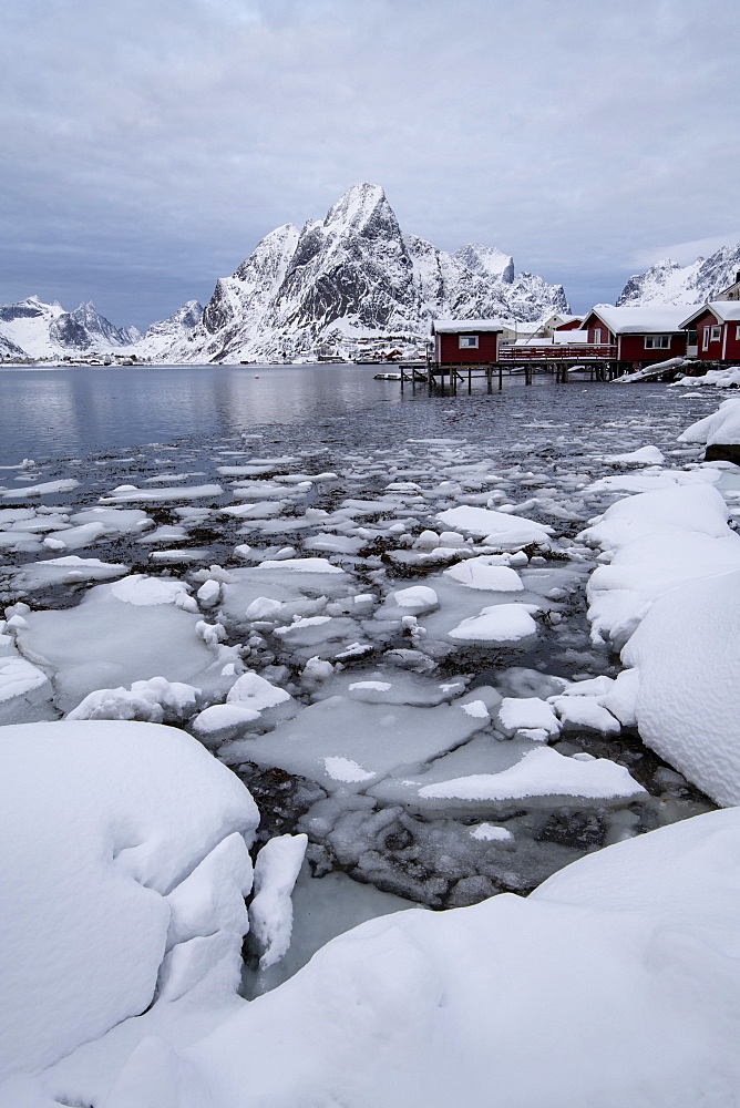 Traditional houses at Reine in winter, Moskenes, in the Lofoten Islands, Arctic, Norway, Europe