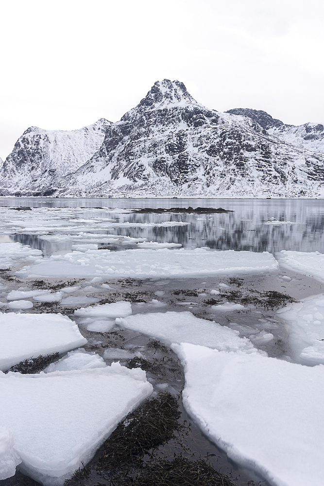 Ice formations and snow covered mountains, Lofoten Islands, Nordland, Arctic, Norway, Europe