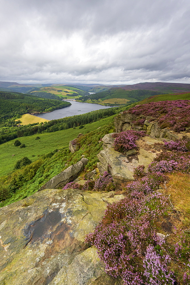 Bamford Edge in summer with heather overlooking Ladybower reservoir, Bamford, Derbyshire, England, United Kingdom, Europe