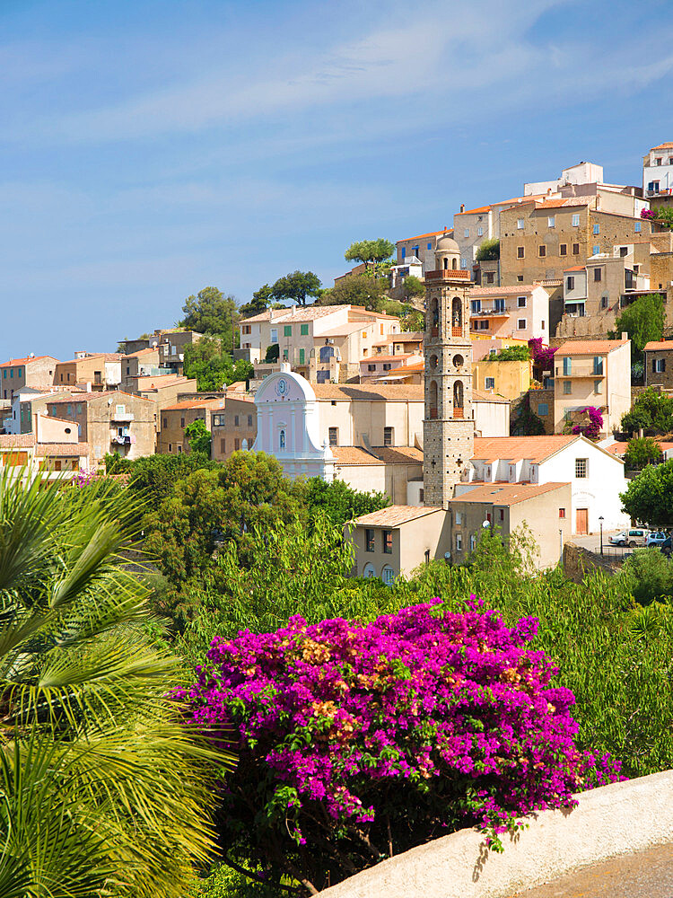 Village houses perched on hillside, the Church of Ste-Marie prominent, Lumio, Calvi Balagne, Haute-Corse, Corsica, France, Mediterranean, Europe