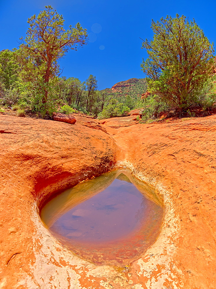 Sandstone bowl of captured rainwater reflecting the sky along Hog Heaven Trail in Sedona, Arizona, United States of America, North America