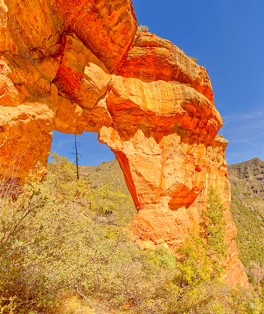 South side of Pendley Arch, Coconino National Forest just outside of Slide Rock State Park, Sedona, Arizona, United States of America, North America