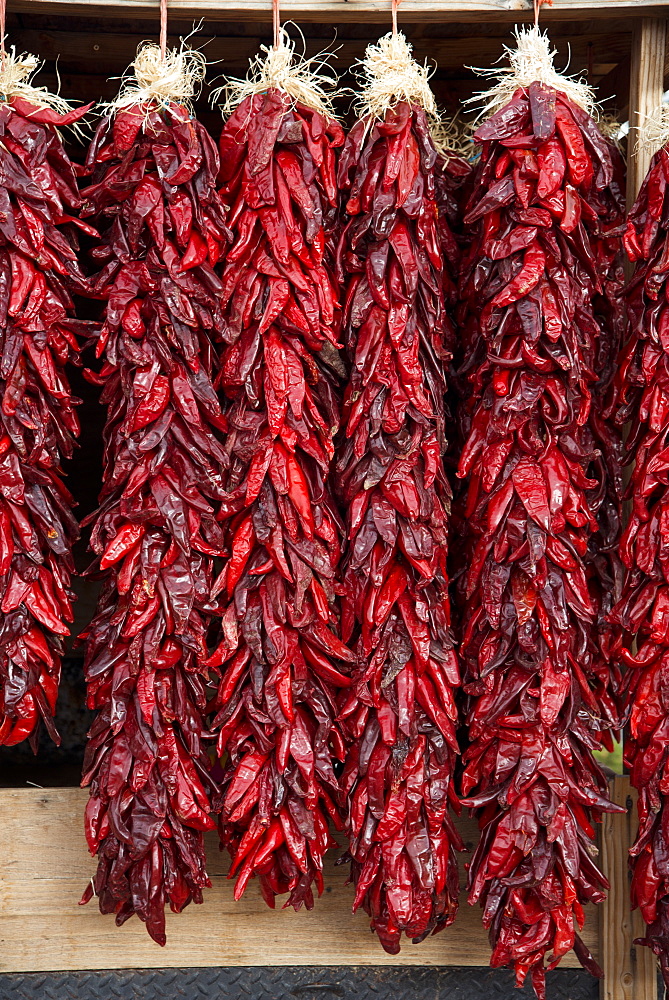 Hanging bunches of dried chili peppers for sale in Santa Fe, New Mexico, United States of America, North America