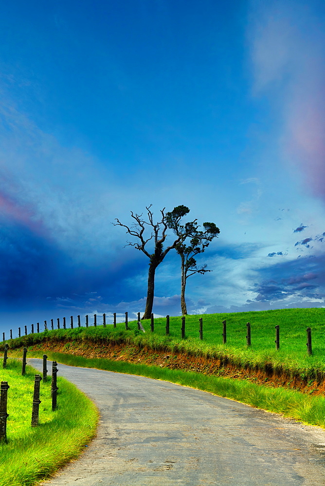 Landscape, Nuwara Eliya, Hill Country of the Central Province, Sri Lanka, Asia