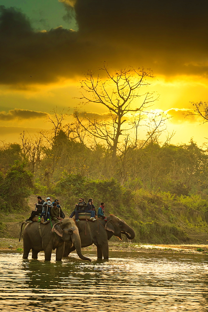 Tourist enjoying elephant safari in Chitwan National Park, Nepal, Asia