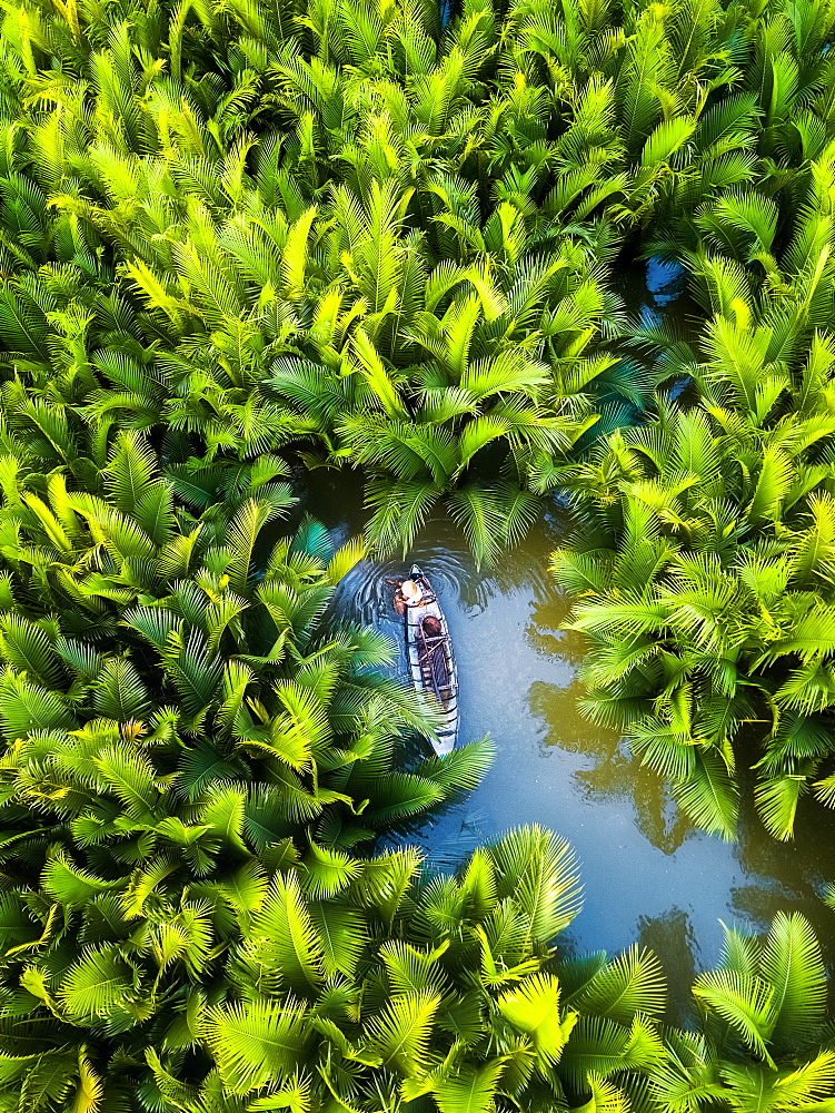 Fisherman fishing in the middle of nipa palm forest, Quang Ngai, Vietnam, Indochina, Southeast Asia, Asia