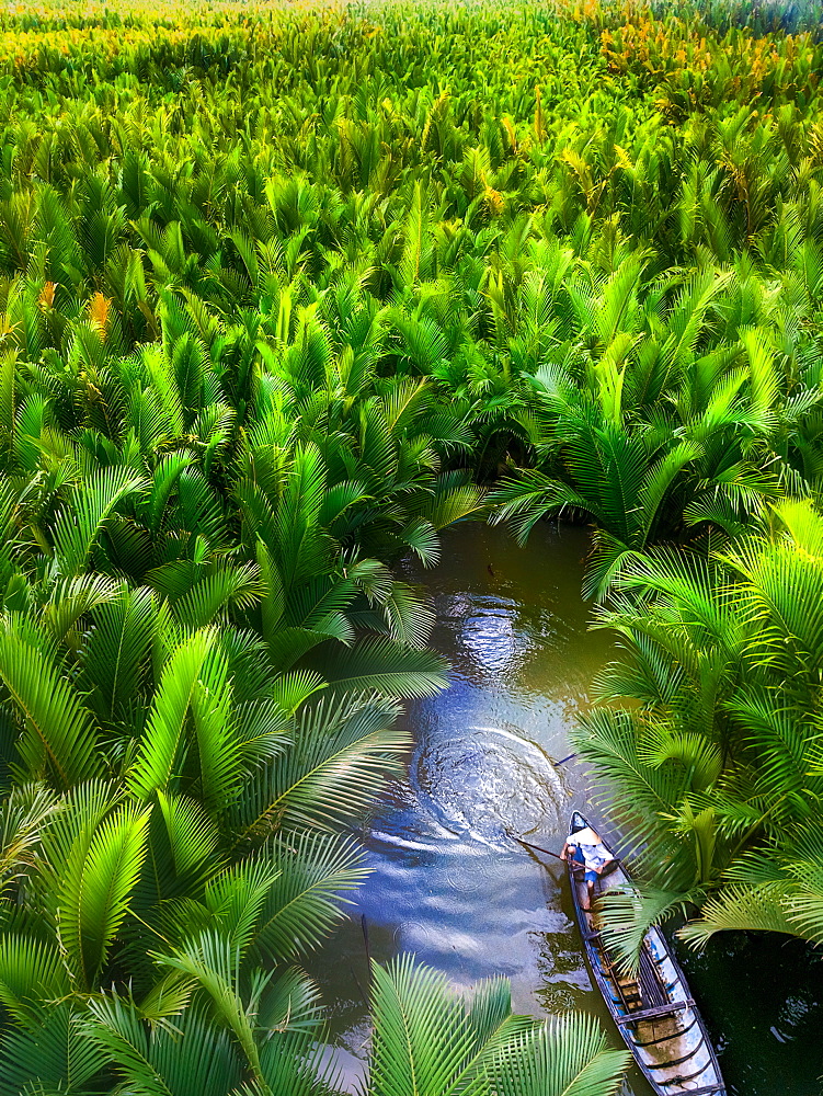 Fisherman fishing in the middle of nipa palm forest, Quang Ngai, Vietnam, Indochina, Southeast Asia, Asia