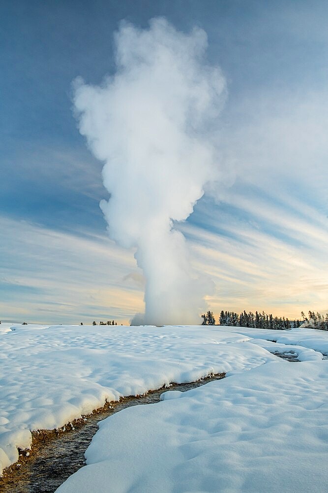 Sunrise eruption of Old Faithful geyser with stream, Yellowstone National Park, UNESCO World Heritage Site, Wyoming, United States of America, North America