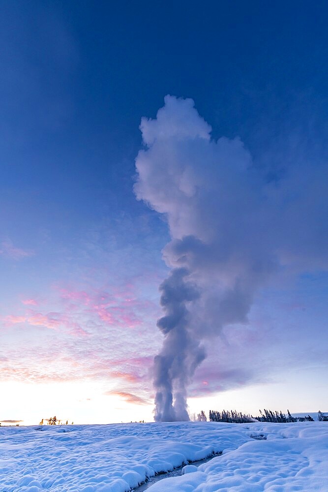 Sunrise eruption of Old Faithful geyser with stream, Yellowstone National Park, UNESCO World Heritage Site, Wyoming, United States of America, North America