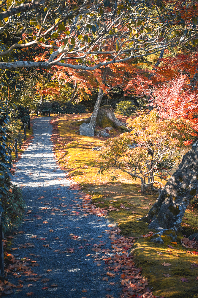 Kinkaku-ji garden and lake in autumn, Kyoto, Honshu, Japan, Asia