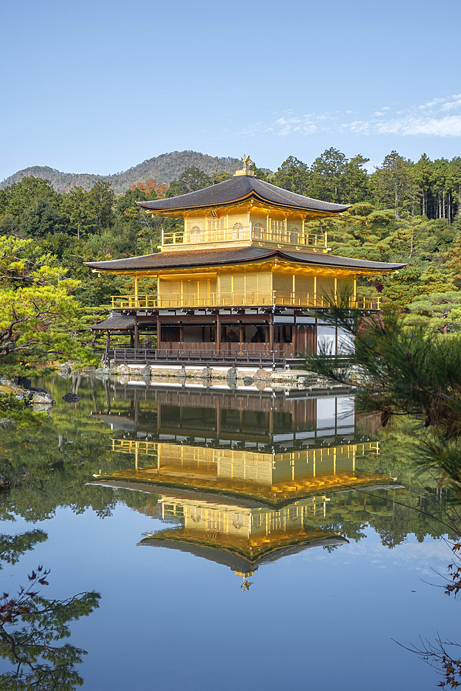 Kinkaku-ji Golden Pavilion Temple reflected in a pond in autumn, UNESCO World Heritage Site, Kyoto, Honshu, Japan, Asia