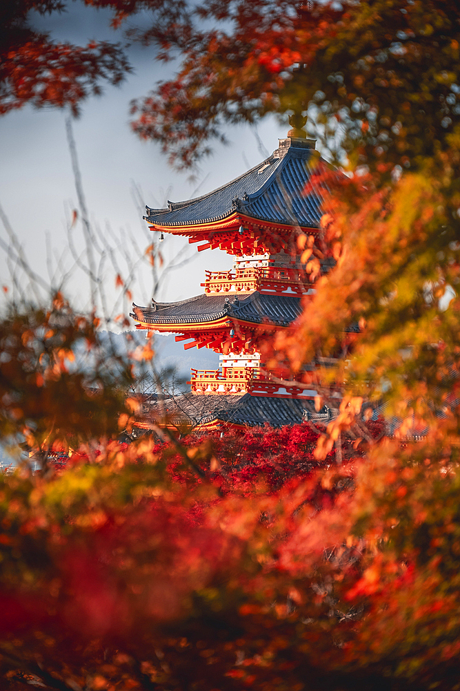 Kiyomizu-dera Buddhist temple and Sanjunoto three Story Pagoda with autumn colors, Kyoto, UNESCO World Heritage Site, Honshu, Japan, Asia