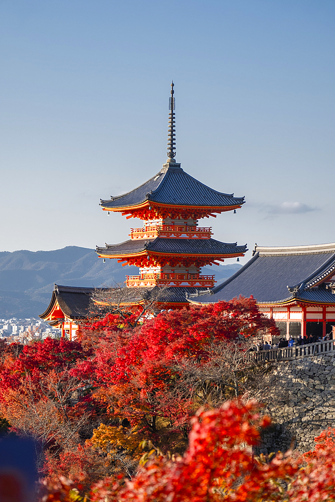 Kiyomizu-dera Buddhist temple and Sanjunoto three Story Pagoda with autumn color, Kyoto, UNESCO World Heritage Site, Honshu, Japan, Asia