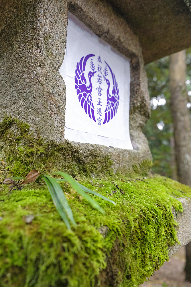 A stone lantern covered by vibrant moss in the forest in Nara, Honshu, Japan, Asia