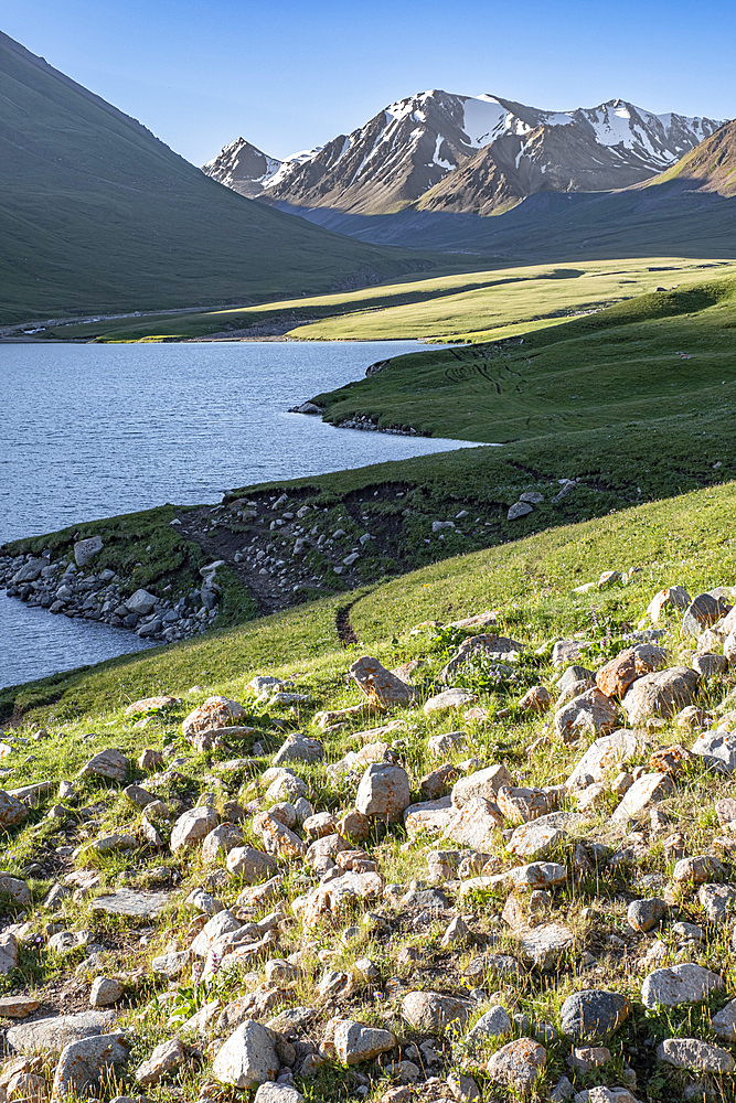 Kol-Ukok Mountain Lake at sunrise surrounded by green mountains under a blue sky, Kyrgyzstan, Central Asia, Asia