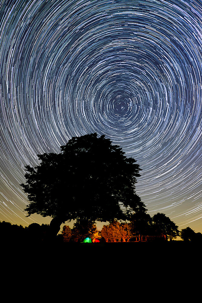 Circumpolar star trail with a tree silhouette and a campfire in the background, Emilia Romagna, Italy, Europe