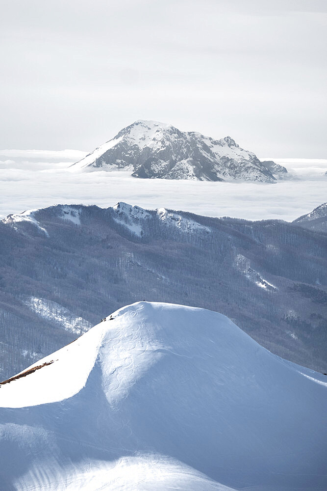 Snowy mountain emerging from fog in the background and snow covered hill in the foreground, Emilia Romagna, Italy, Europe