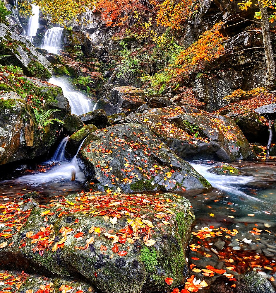 Dardagna Waterfalls in autumn, Parco Regionale del Corno alle Scale, Emilia Romagna, Italy, Europe