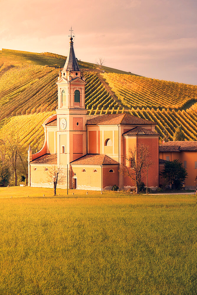 Church and bell tower at sunset with vineyards in autumn colors in the background, Emilia Romagna, Italy, Europe