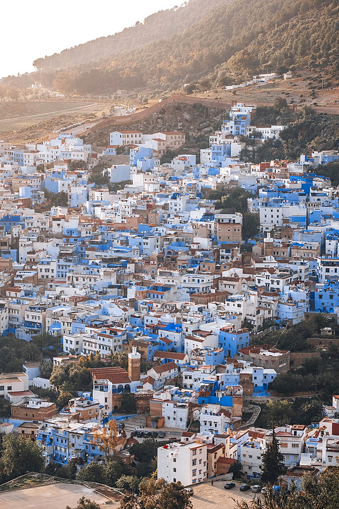 The blue city of Chefchaouen seen from the above, Chefchaouen, Morocco, North Africa, Africa