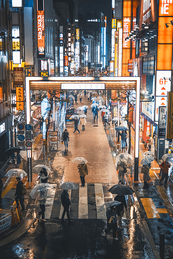 Shinjuku road by night illuminated with neon signs, Tokyo, Japan, Asia