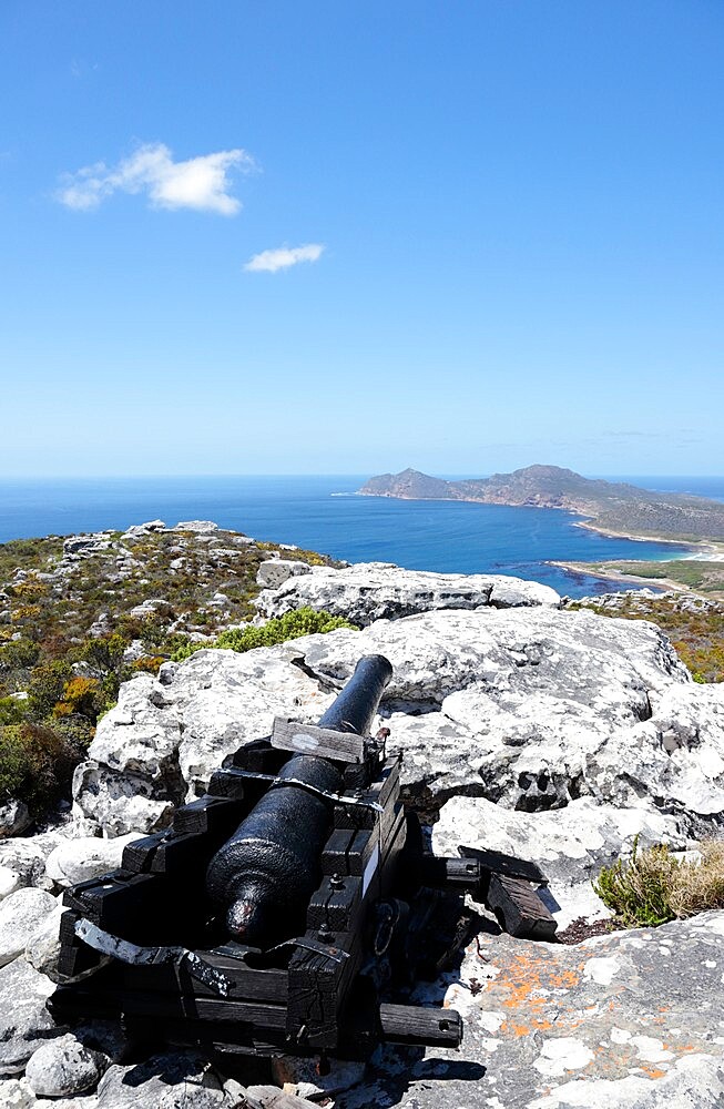 Old Dutch cannon used to signal Cape Town when ships came into Table Bay, Kanonkop, Cape Point Nature Reserve, South Africa, Africa