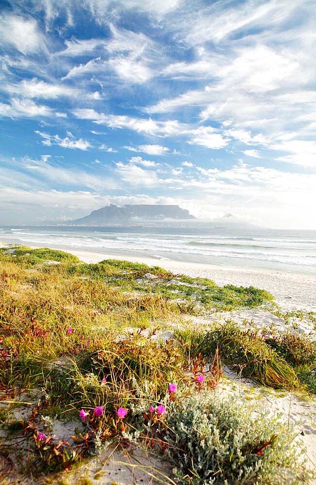 Cape Town from Bloubergstrand, Western Cape, South Africa, Africa