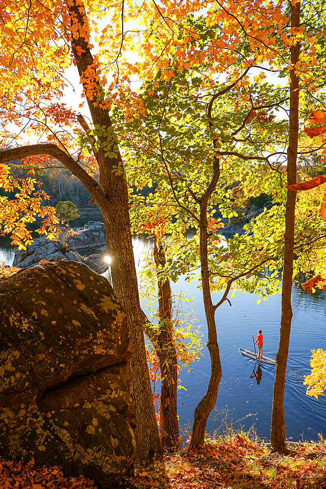 Ian Brown stand up paddle boards the Widewater section of C and O Canal (Chesapeake and Ohio Canal) near Potomac, Maryland, United States of America, North America