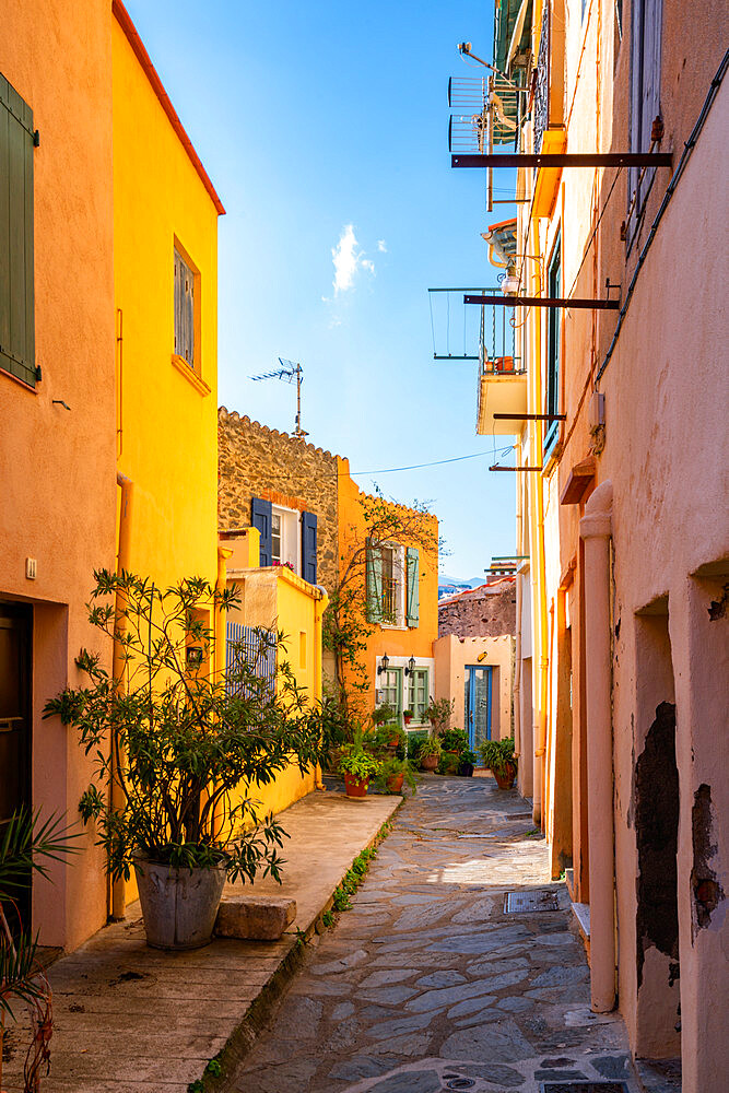 Traditional village street with colorful houses, Collioure, Pyrenees Orientales, France, Europe