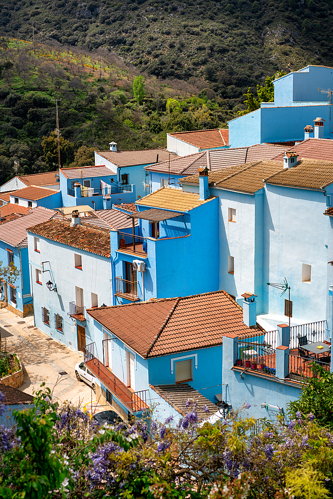 Blue painted Smurf house village of Juzcar, Pueblos Blancos region, Andalusia, Spain, Europe