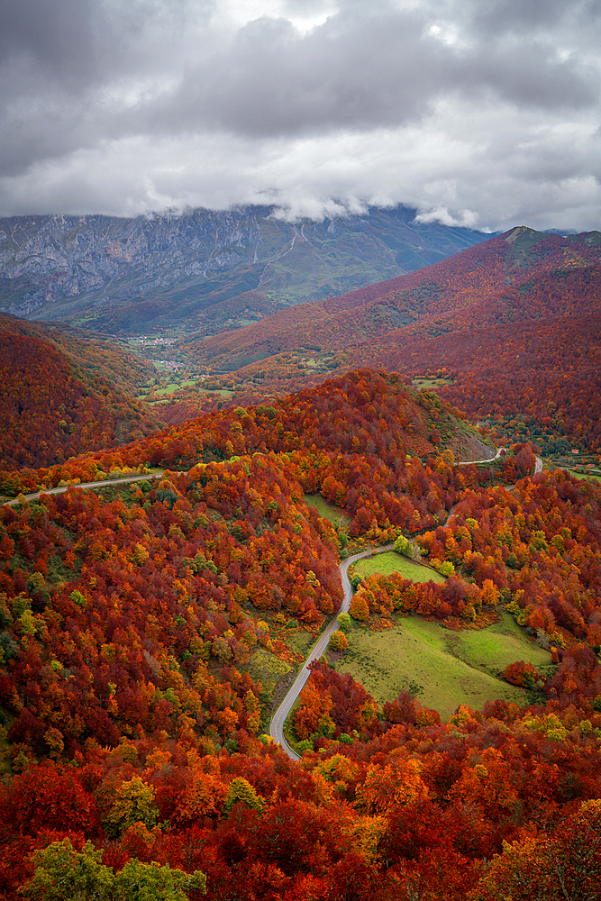 Road crossing beautiful colorful autumn tree landscape in Picos de Europa National Park, Leon, Spain, Europe