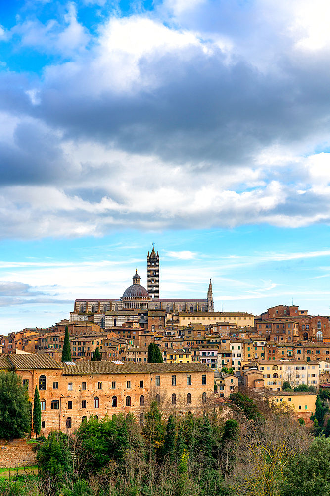 Siena city view with traditional Tuscany buildings with Cathedral on the top at sunset, in Italy