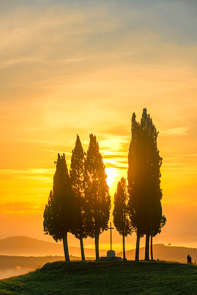 Cypress trees around a Christ cross at sunrise, Tuscany, Italy, Europe