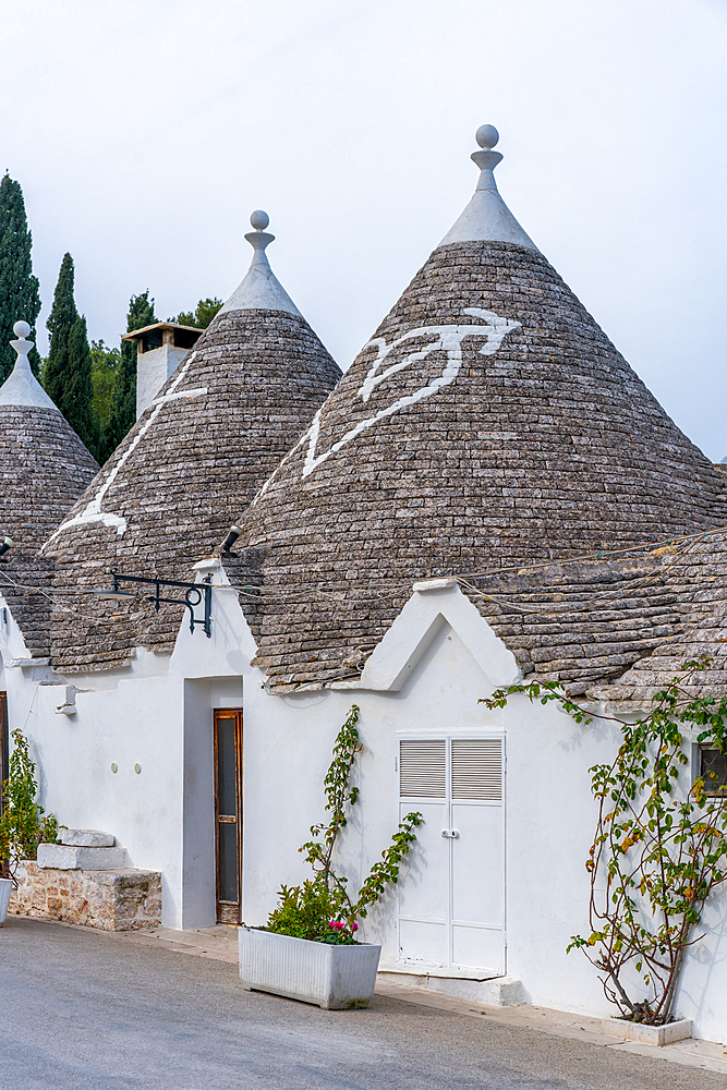 Alberobello iconic old Trullo and Trulli white houses with stone ceilings in conic shape, in Italy