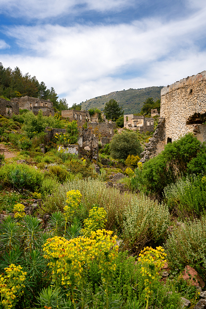 Kayakoy greek ghost town with abandoned houses in the mountains full of vegetations in Fethiye, Turkey