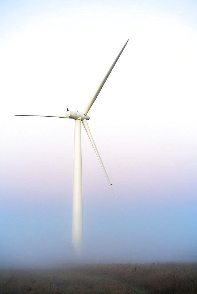 Commercial wind turbine in the early morning fog at sunrise in the English countryside