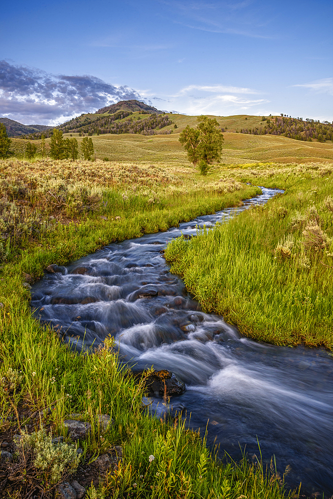 Rose Creek at Lamar Buffalo Ranch, Yellowstone National Park, Wyoming.