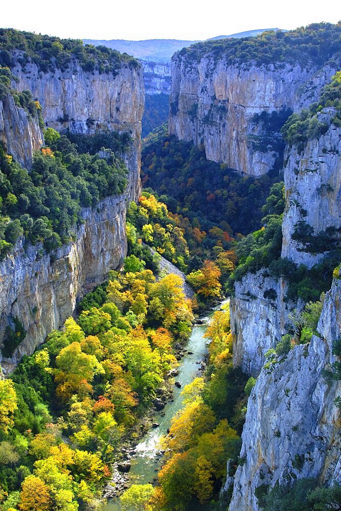 Gorge and river with decidual forest in autumn. Arbayun gorge. Navarre, Spain, Europe.