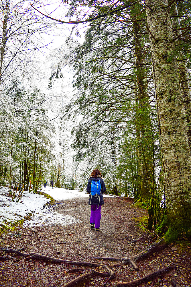 Young caucasian female hiker in the snowy mountains of the Pyrenees during winter season, Aragon, Spain