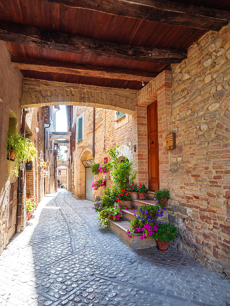 A typical colorful street in Montefalco's old town, Montefalco, Umbria, Italy, Europe