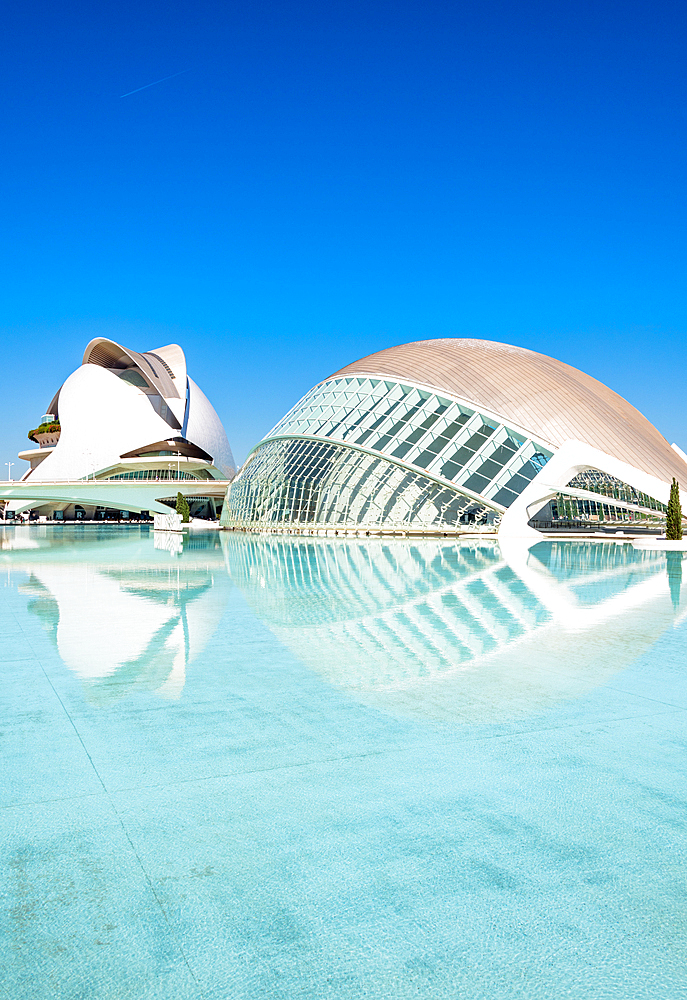 Reflections of Palau de les Arts Reina Sofia (Queen Sofia Palace of the Arts) and Museu de les Ciencies Principe Felipe (Principe Felipe Science Museum) of Ciudad de las Artes y las Ciencias (City of Arts and Sciences), Valencia, Spain, Europe