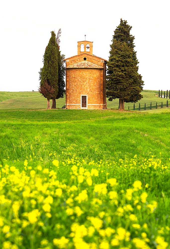 The iconic Chapel of Madonna di Vitaleta in spring, Val d'Orcia, Tuscany, Italy