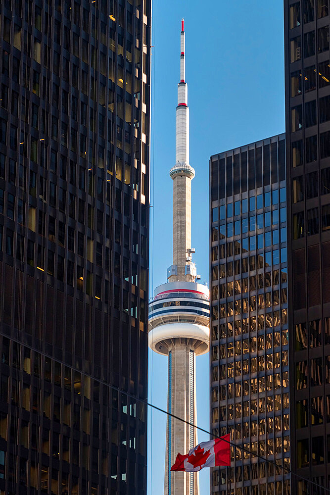 The CN Tower and City skyscrapers, Toronto, Ontario, Canada, North America