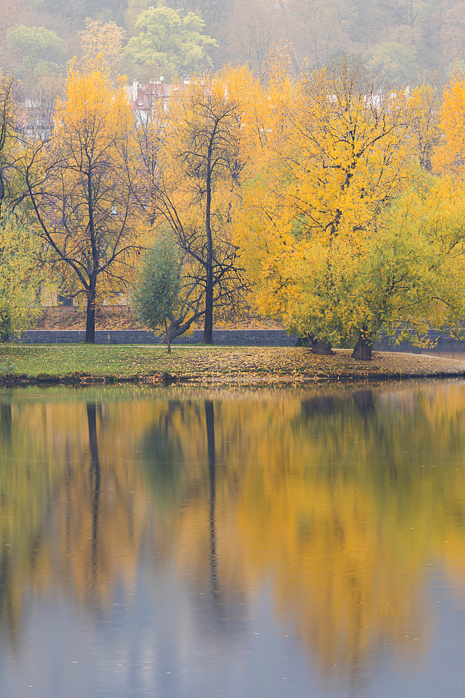 Reflections of colorful trees on Shooters Island (Strelecky ostrov) on Vltava River in autumn, Prague, Czech Republic (Czechia), Europe